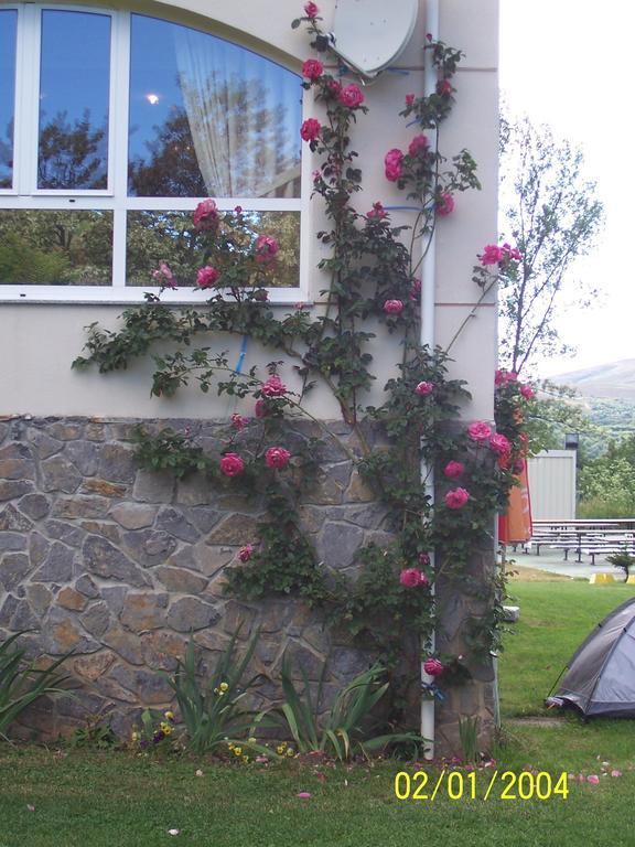 Hotel La Mora Villaseca de Laciana Extérieur photo